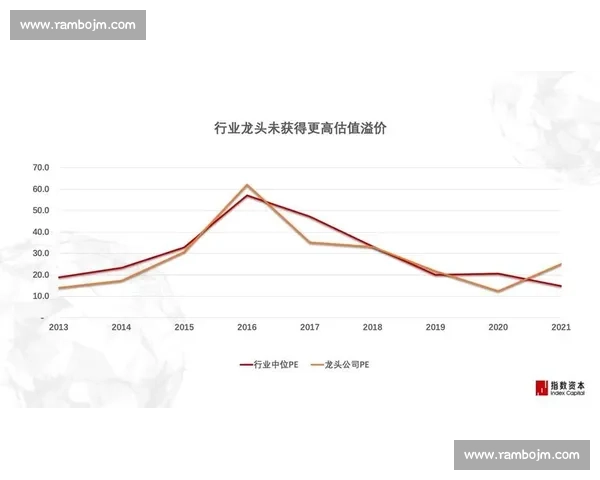 新秀崛起引领行业变革展现无限潜力与创新力量