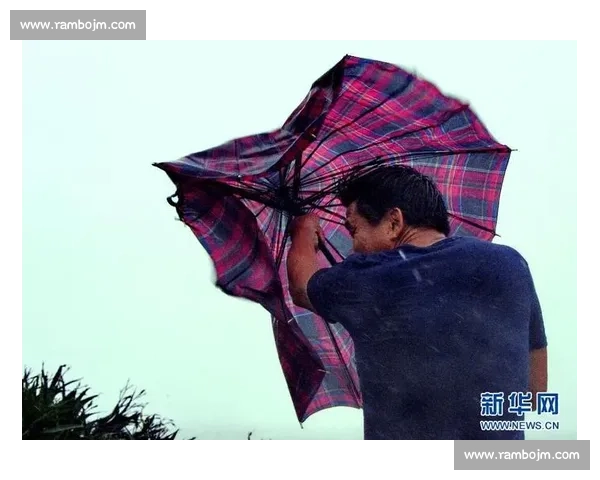 永不低头：在风雨中坚定前行书写无悔人生篇章